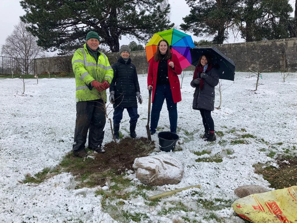 Emma Roddick MSP and three volunteers standing in a snowy field, planting a tree. Emma is holding a rainbow umbrella.